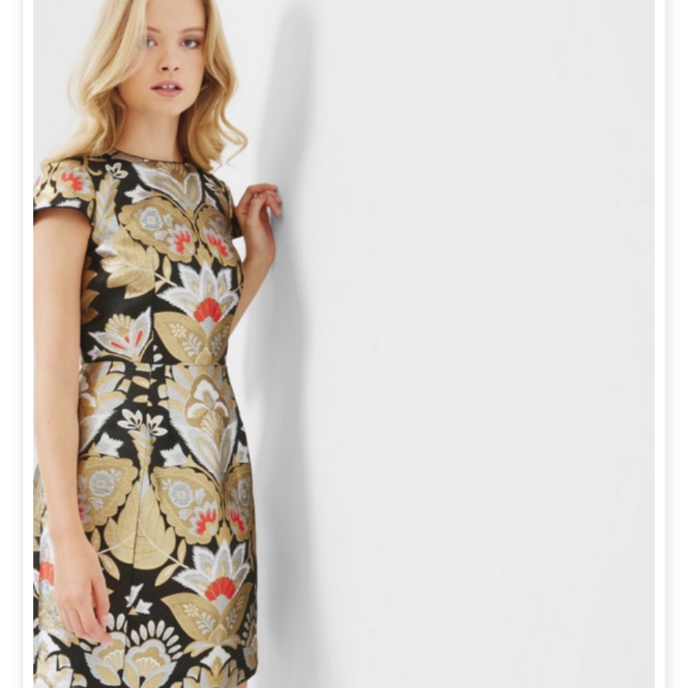 NWOT: STUNNING ❌SOLD OUT ❌Ted Baker Cocktail
